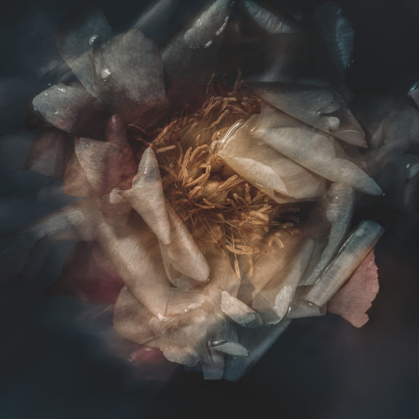 DARKO-JAMAULT-naufragia1-85×85-2019 🔴 (vendu)