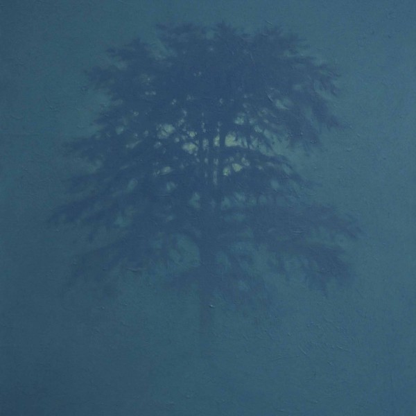 TS 11V Soleil dans le brouillard,petit,65x54cm