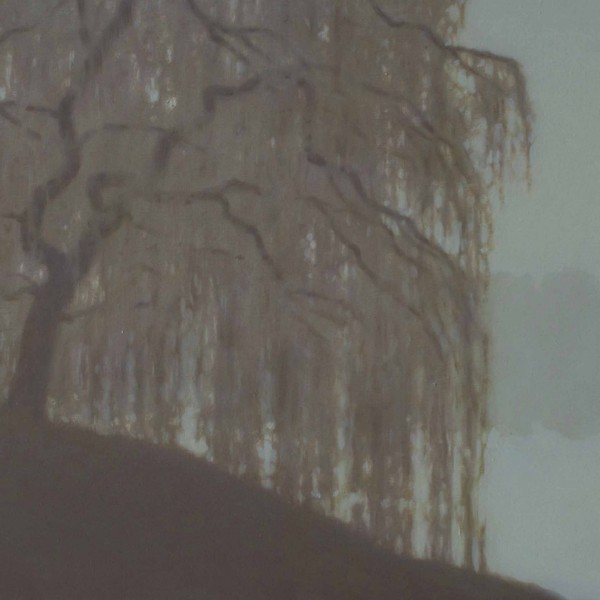 TS 12V Saul pleureur, crépuscule,petit,54x65cm