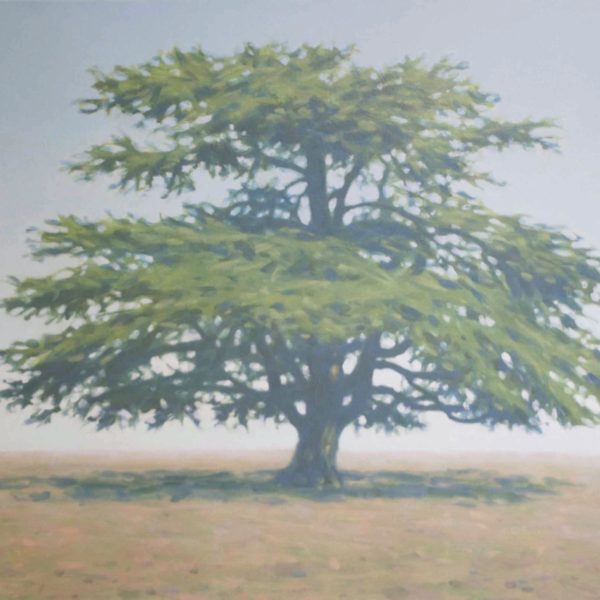 TS 14V Cèdre,petit,81x100cm