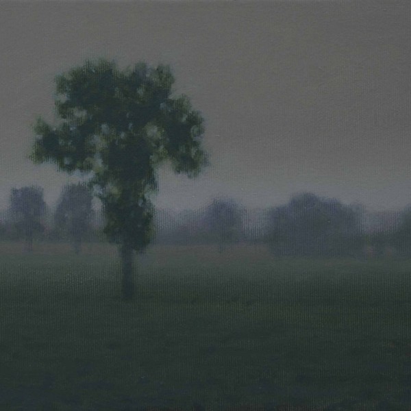 TS 16V Jeune arbre,petit