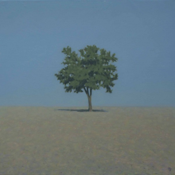 TS 19V Cèdre dans un champs de blé, 80x80cm,petit