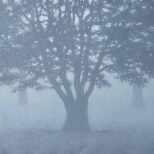 TS 21V Cèdre dans le forêt,klein,130x195cm