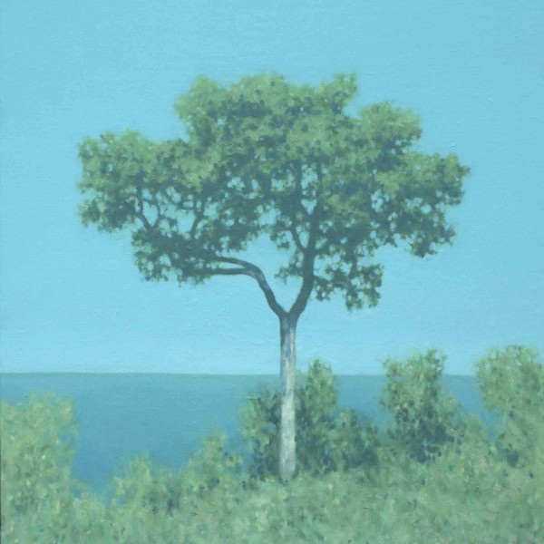 TS 23V Pin,klein,100x100cm