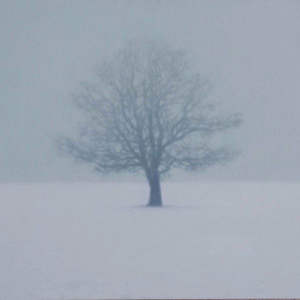 TS 25V Chêne dans la neige,klein,60x100cm