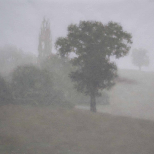 TS 31V Bourgogne,petit, 50x60cm