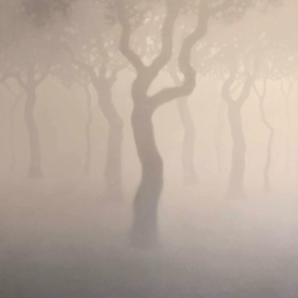 TS 33V Forêt dans le brouillard,petit,146x114cm