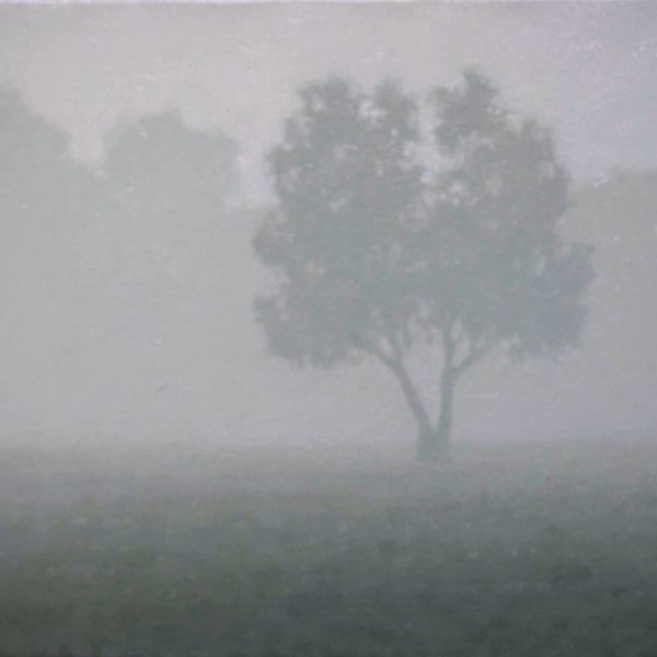 TS 34V Arbre lointain,27x35cm,petit