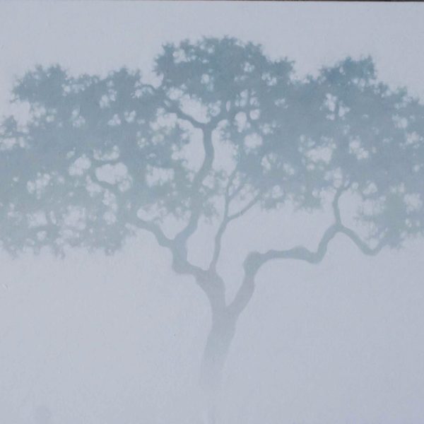 TS 39V Olivier dans la neige,klein,65x100cm