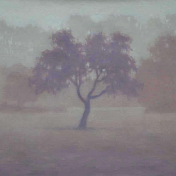 TS 5V Fruitier,petit,38x46cm