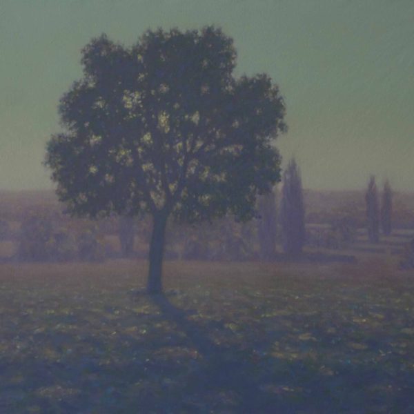 TS 8V Derniers ombres,petit,89x116cm