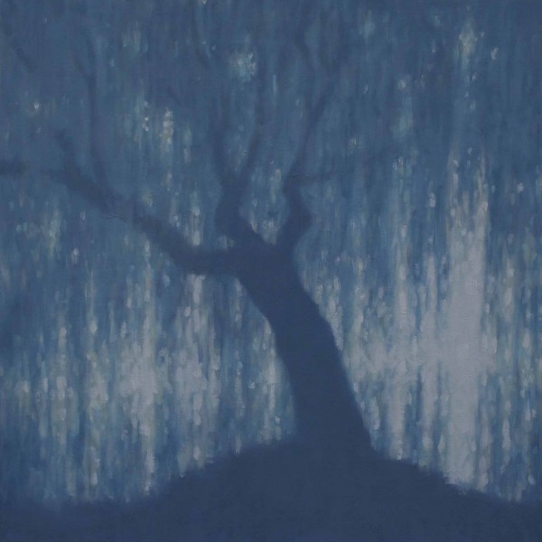 TS 9V Saul pleureur bleu,petit,100x100cm