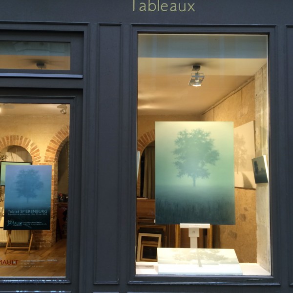 Tobias-SPIERENBURG-IMG_4192 Tobias Spierenburg exposition 2016 Paris Galerie JAMAULT