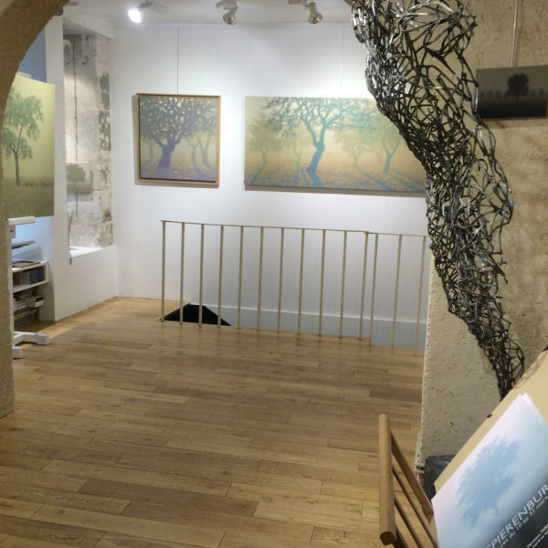 Tobias-SPIERENBURG-IMG_4201 Tobias Spierenburg exposition 2016 Paris Galerie JAMAULT