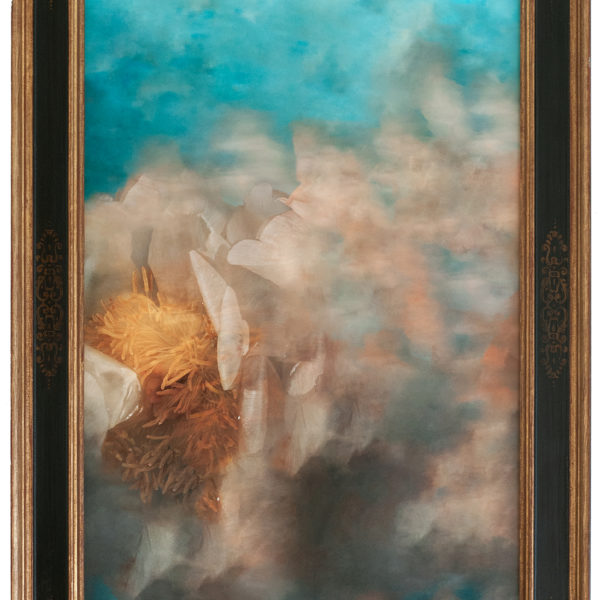 DARKO-JAMAULT-Naufragia 2 encadré-49×31-2019 🔴 (vendu)