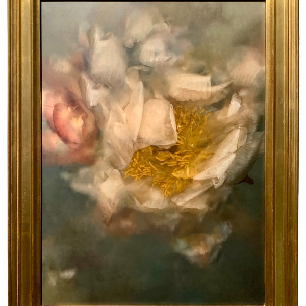 DARKO-JAMAULT-Naufragia 3 encadré-53×39-2019 Luke Darko présenté par la Galerie Jamault