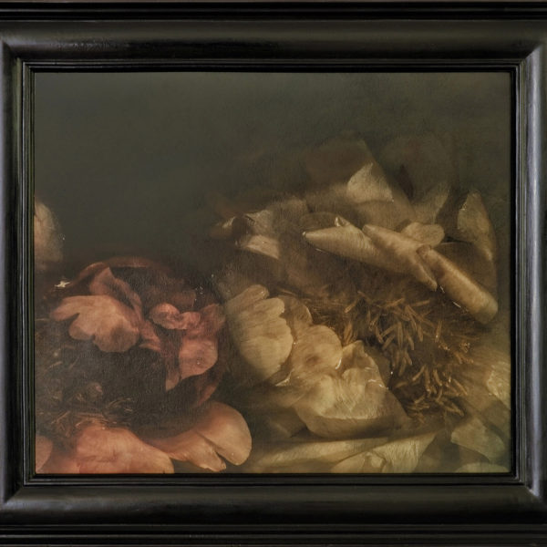 DARKO-JAMAULT- Naufragia 4 Luke Darko présenté par la Galerie Jamault