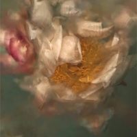 Naufragia #3