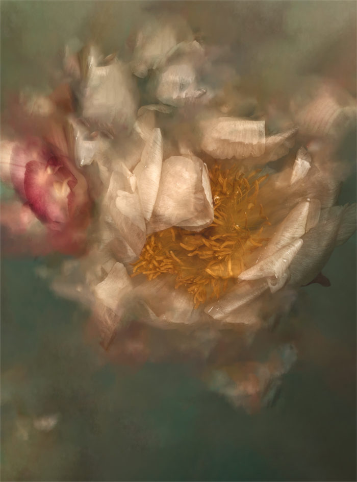 Naufragia #3