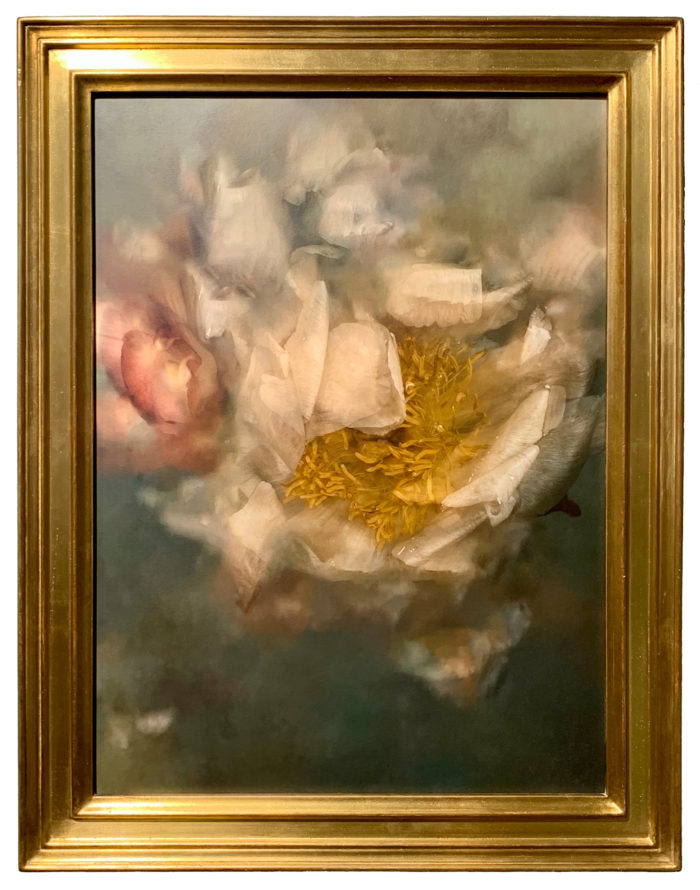 Naufragia #3 – Image 2