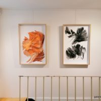 Sous les ravages 19 – Image 3