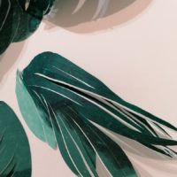 Sous les ravages 12 – Image 2