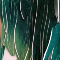 Sous les ravages 13 – Image 2
