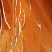 Sous les ravages 20 – Image 2