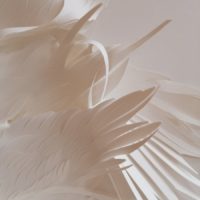 Sous les ravages 21 (post exposition) – Image 2