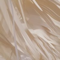 Sous les ravages 22 (post-exposition) – Image 2