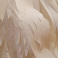 Sous les ravages 22 (post-exposition) – Image 3