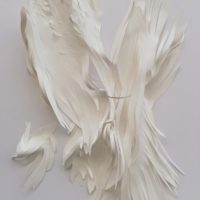 Sous les ravages 23 (post-exposition)
