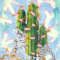 ARIZONA DREAM 2 - A. Gamard - 73x60 cm