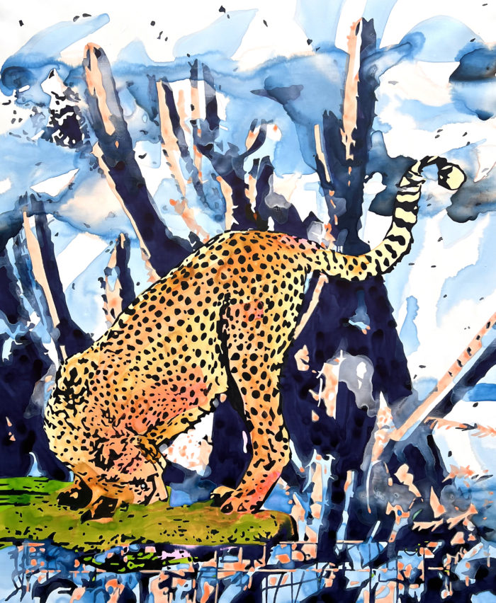 Léopard - A. Gamard - 73x60 cm