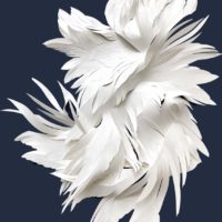 A Guerre - Les ombres pâles VI - 123x82 cm