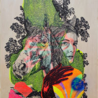 Elia Pagliarino "Le cheval"