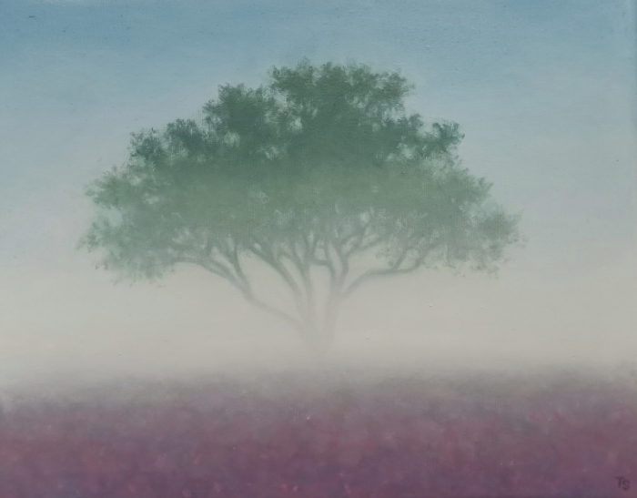 Tobias SPIERENBURG - Brouillard du matin - 40x50 cm