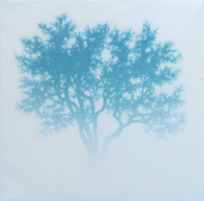 Tobias SPIERENBURG - Olivier dans le brouillard - 60x60 cm
