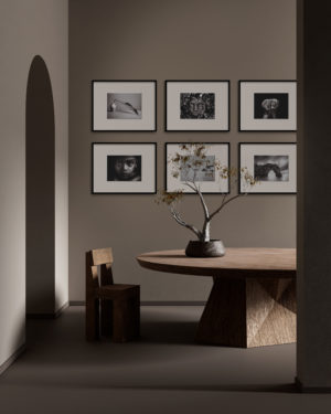 IONNYK Le premier cadre d’art connecté qui révolutionne le monde du design et de l’art photographique.